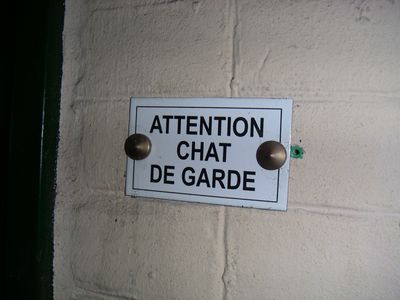 Attention chat de garde Attention chat de garde